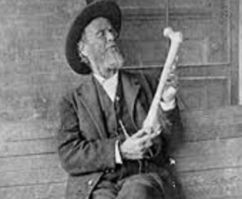 Andrew Taylor Still